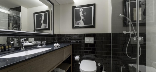 Grand Hotel Slavia 4*. Башка Вода