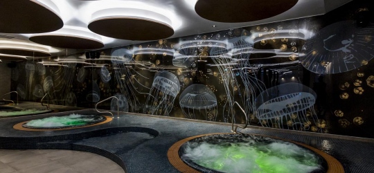 Grand Hotel Slavia 4*. Башка Вода