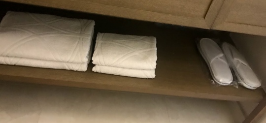 Grand Hotel Slavia 4*. Башка Вода