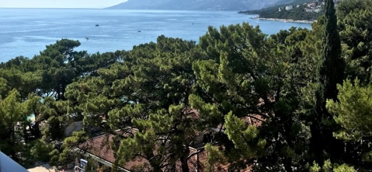 Hotel Horizont 4*. Башка Вода