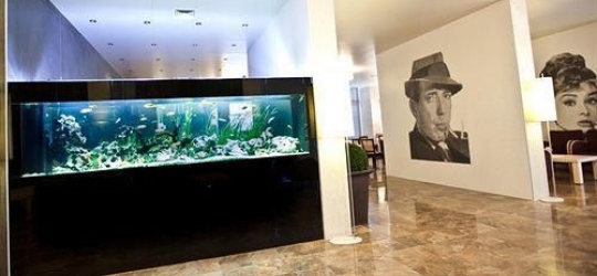  Valamar Meteor Hotel 4*. Макарська