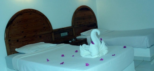 Pensee Royal Garden 4*. Ель-Кусейр