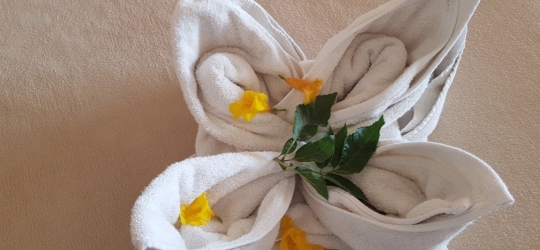 Pensee Royal Garden 4*. Ель-Кусейр