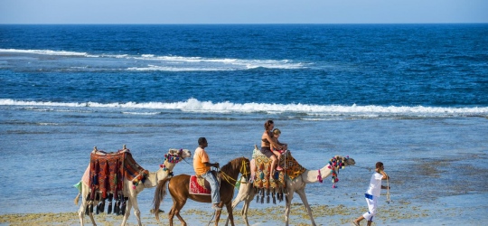 Concorde Moreen Beach Resort 5*. Марса-Алам
