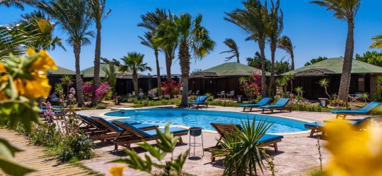 Abu Dabbab Lodge 3*. Марса-Алам