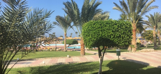 The Three Corners Sea Beach Resort 4*. Корая-Бей