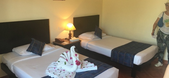 The Three Corners Sea Beach Resort 4*. Корая-Бей