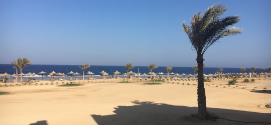 The Three Corners Sea Beach Resort 4*. Корая-Бей