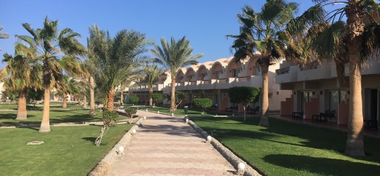 The Three Corners Sea Beach Resort 4*. Корая-Бей