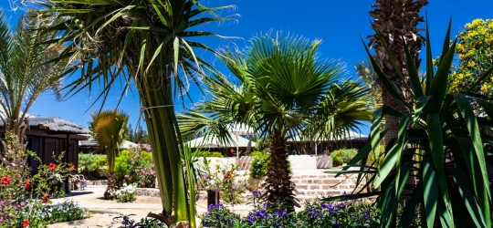 Abu Dabbab Lodge 3*. Марса-Алам