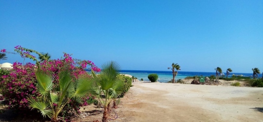 The Three Corners Fayrouz Plaza Beach 5*. Марса-Алам