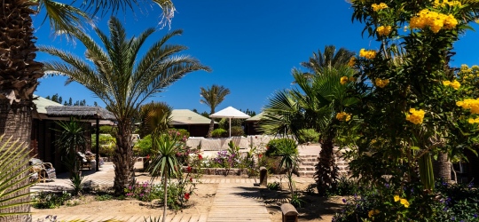 Abu Dabbab Lodge 3*. Марса-Алам