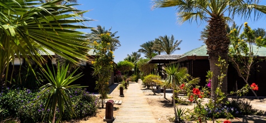 Abu Dabbab Lodge 3*. Марса-Алам