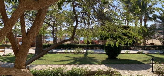 Brayka Bay Resort 5*. Марса-Алам