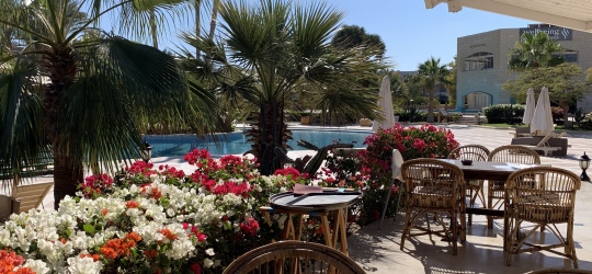 Brayka Bay Resort 5*. Марса-Алам