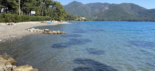 CLUB MONTE BEACH RESORT 3+* (АІ), Мармарис