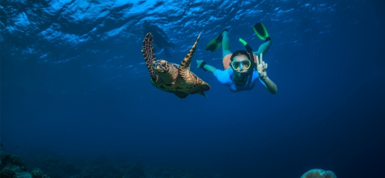 Story Seychelles 5*