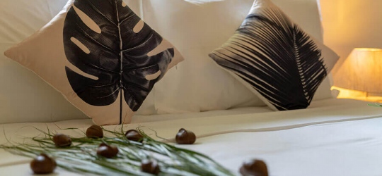 Bliss Hotel Praslin 