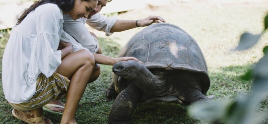 Raffles Seychelles