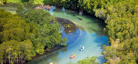 Constance Ephelia Seychelles
