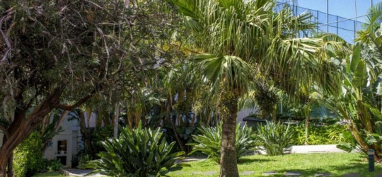 Dorisol Buganvilia Studio Hotel 3*