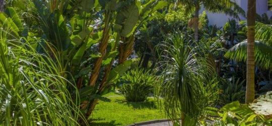 Dorisol Buganvilia Studio Hotel 3*