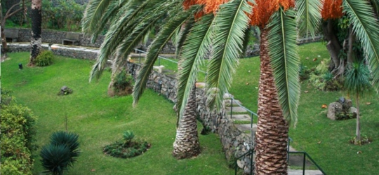 Dom Pedro Madeira 4*