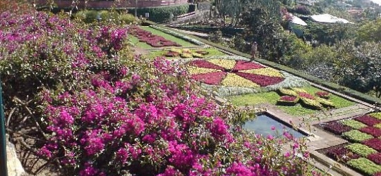 Madeira Regency Cliff 4*
