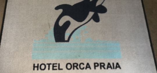 Hotel Orca Praia 3+*