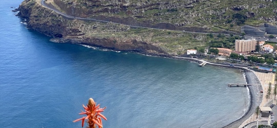 Dom Pedro Madeira 4*