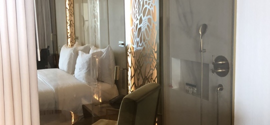 Savoy Palace 5*