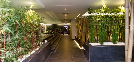 Melia Madeira Mare 5*
