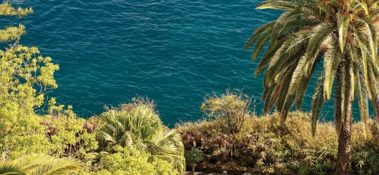  Reid's Palace 5*, A Belmond Hotel, Madeira