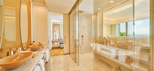 Savoy Palace 5*