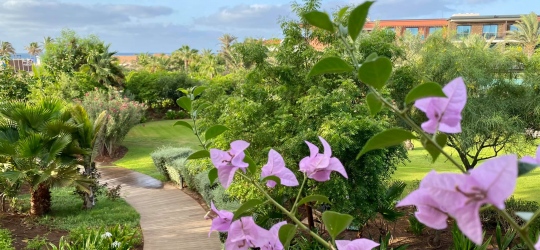 Hilton Cabo Verde Sal Resort 5*, Сал