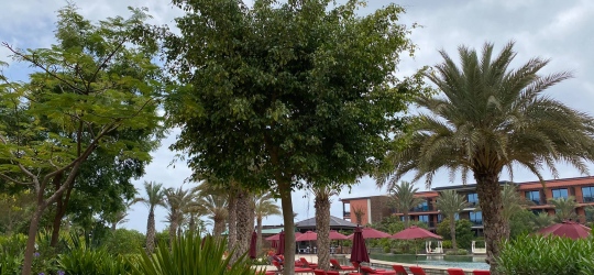 Hilton Cabo Verde Sal Resort 5*, Сал