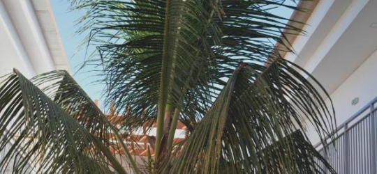 Hotel Da Luz 3*