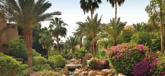 Mövenpick Resort & Spa Dead Sea 5*