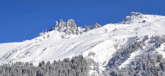 PLEIN SOLEIL N° 1114