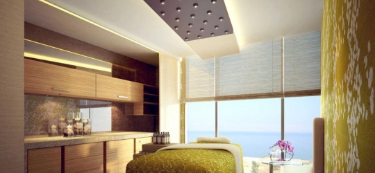 Hilton Dead Sea Resort & Spa 5*, Совайма