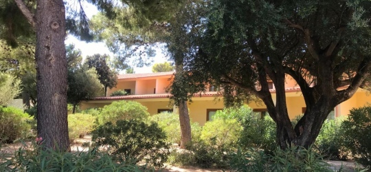 Club Esse Palmasera 4* (Кала-Гононе)