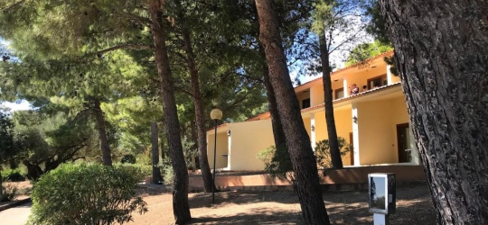 Club Esse Palmasera 4* (Кала-Гононе)