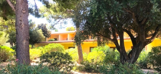 Club Esse Palmasera 4* (Кала-Гононе)