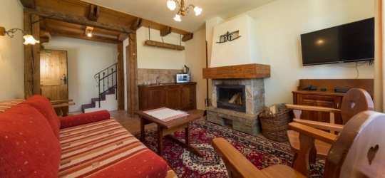 SKI & WELLNESS RESIDENCE DRUZBA 4* (Ясна)