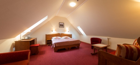 SKI & WELLNESS RESIDENCE DRUZBA 4* (Ясна)