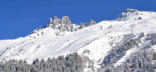 PLEIN SOLEIL N° 1004