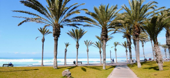 Zentral Center 4* (Тенеріфе, Канарські острови)